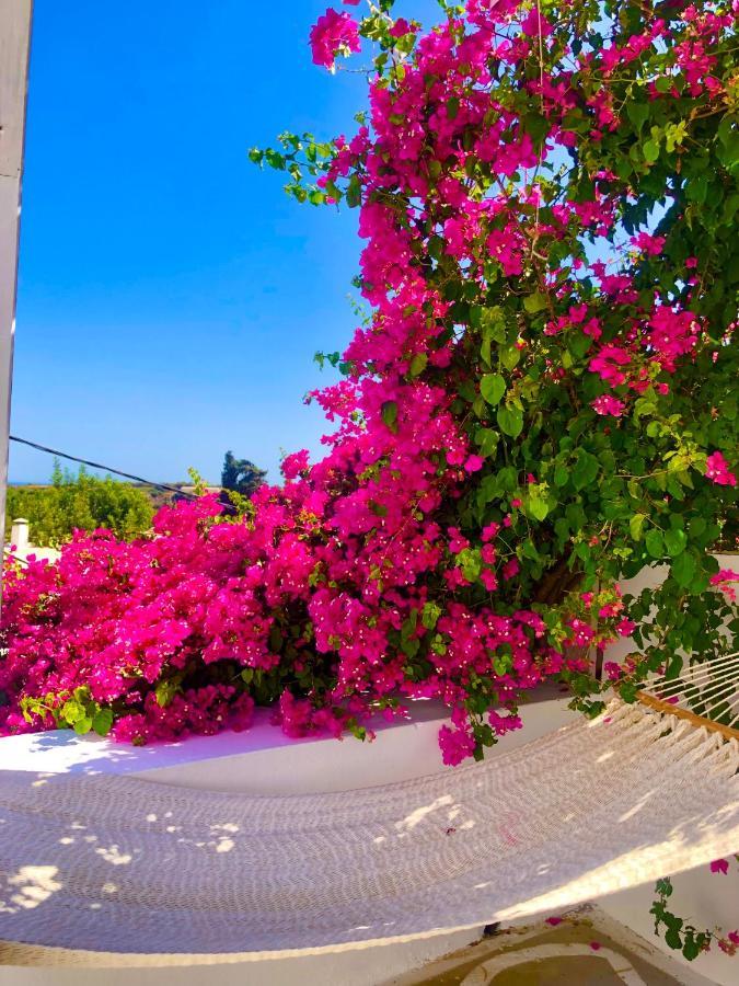 The Summer Pink House Lakhania Exteriér fotografie